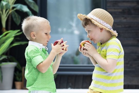 国際結婚した際の子供のビザ